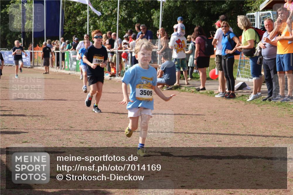 08.09.2024 - Airport Race Strokosch-Dieckow http://msf.ph/oto/7014169 08.09.2024 11:30:51 Ziel 1718, 1729, 1764, 1767, 1870, 1908, 1915, 3401 meine-sportfotos.de