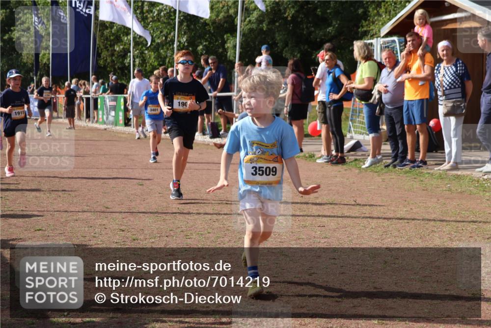 08.09.2024 - Airport Race Strokosch-Dieckow http://msf.ph/oto/7014219 08.09.2024 11:30:52 Ziel 1718, 1764, 1767, 1870, 1908, 1915, 3401 meine-sportfotos.de
