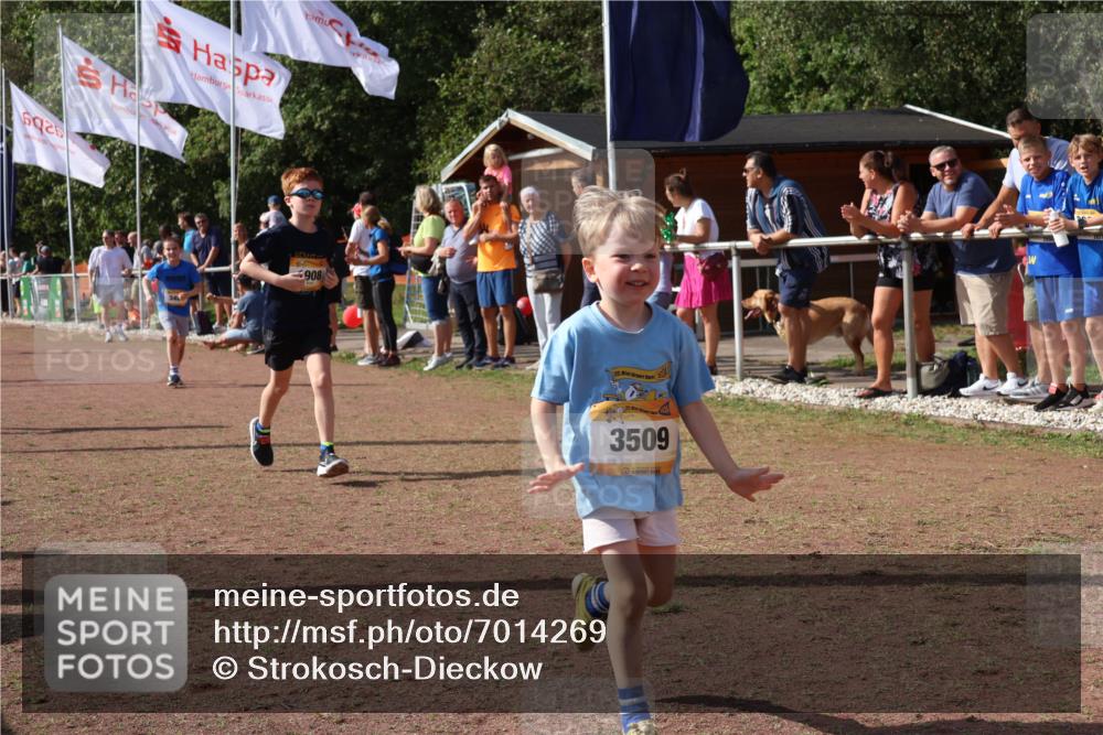 08.09.2024 - Airport Race Strokosch-Dieckow http://msf.ph/oto/7014269 08.09.2024 11:30:53 Ziel 1671, 1718, 1764, 1767, 1870, 1908, 1915, 3401 meine-sportfotos.de