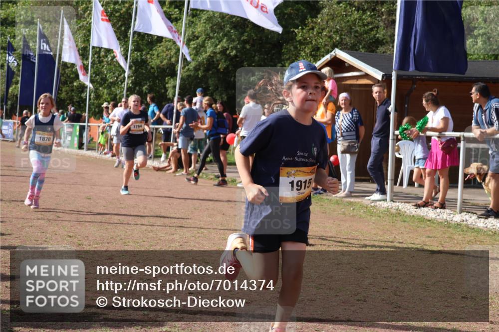 08.09.2024 - Airport Race Strokosch-Dieckow http://msf.ph/oto/7014374 08.09.2024 11:30:56 Ziel 1671, 1764, 1767, 1870, 1908, 1915, 3401 meine-sportfotos.de