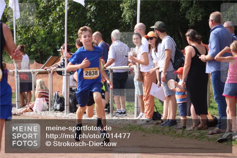 08.09.2024 - Airport Race Strokosch-Dieckow http://msf.ph/oto/7014477 08.09.2024 12:06:02 Ziel 582, 2557, 2606, 2838, 3058, 3099, 3100, 3129 meine-sportfotos.de