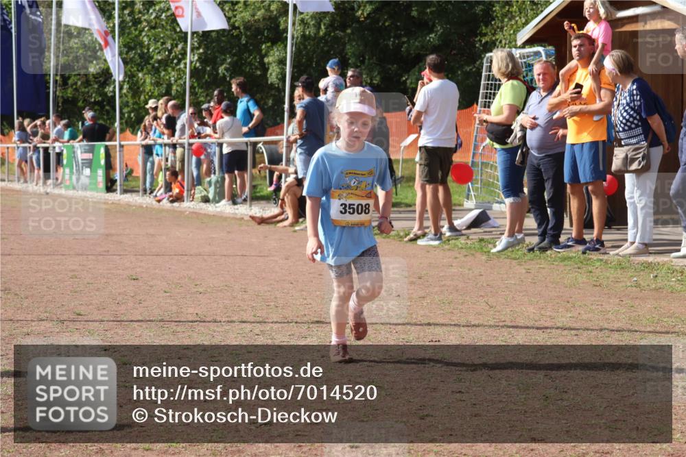 08.09.2024 - Airport Race Strokosch-Dieckow http://msf.ph/oto/7014520 08.09.2024 11:31:02 Ziel 1623, 1671, 1680, 1683, 1767, 1850 meine-sportfotos.de