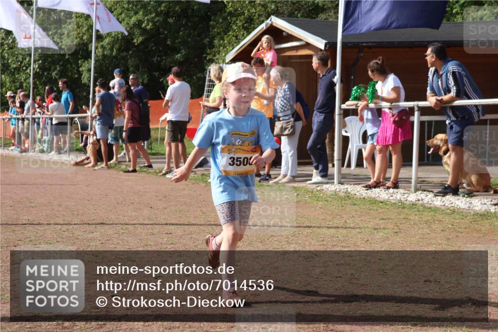 08.09.2024 - Airport Race Strokosch-Dieckow http://msf.ph/oto/7014536 08.09.2024 11:31:03 Ziel 1623, 1671, 1680, 1683, 1767, 1850 meine-sportfotos.de