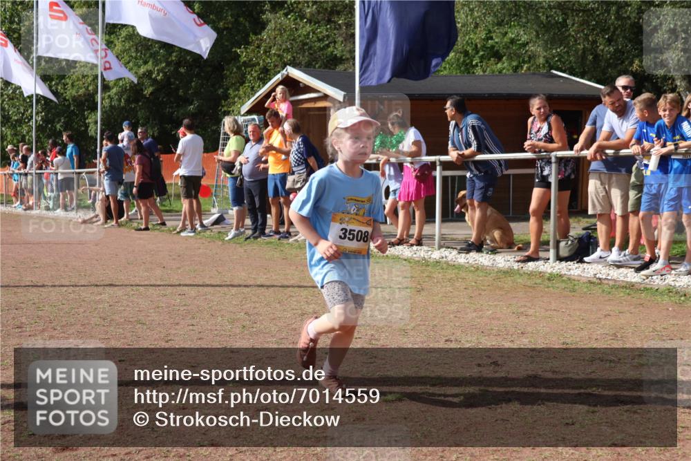 08.09.2024 - Airport Race Strokosch-Dieckow http://msf.ph/oto/7014559 08.09.2024 11:31:04 Ziel 1623, 1671, 1680, 1683, 1850 meine-sportfotos.de