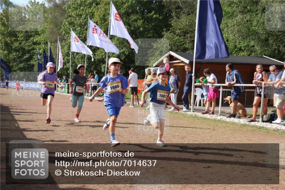 08.09.2024 - Airport Race Strokosch-Dieckow http://msf.ph/oto/7014637 08.09.2024 11:31:09 Ziel 1623, 1680, 1683, 1692, 1850 meine-sportfotos.de