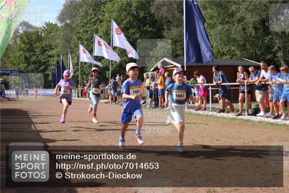 08.09.2024 - Airport Race Strokosch-Dieckow http://msf.ph/oto/7014653 08.09.2024 11:31:09 Ziel 1623, 1680, 1683, 1692, 1850 meine-sportfotos.de