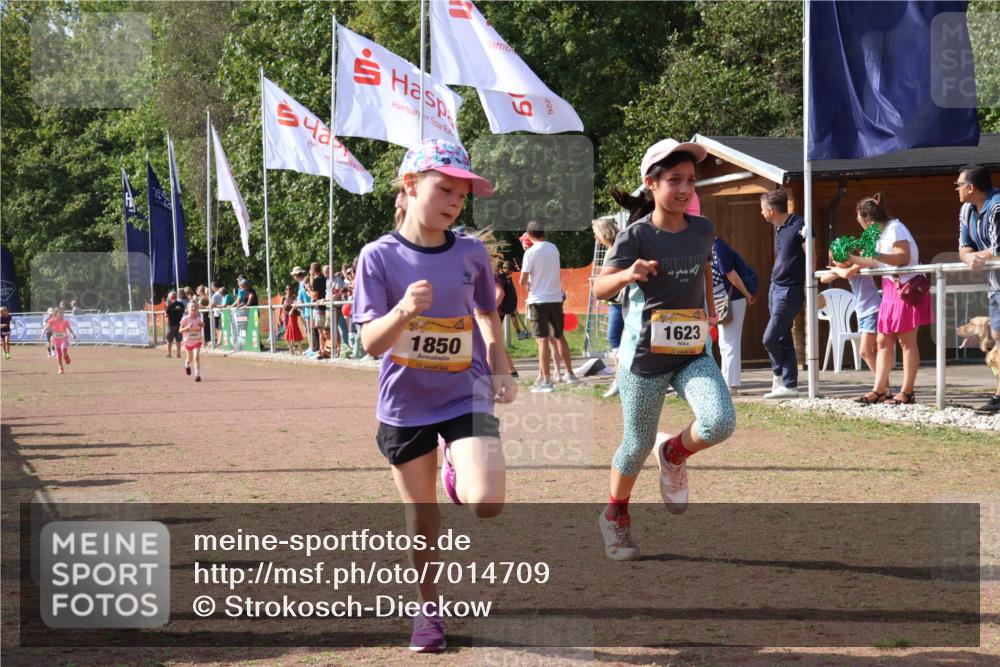 08.09.2024 - Airport Race Strokosch-Dieckow http://msf.ph/oto/7014709 08.09.2024 11:31:10 Ziel 1623, 1680, 1683, 1692, 1850, 3403 meine-sportfotos.de