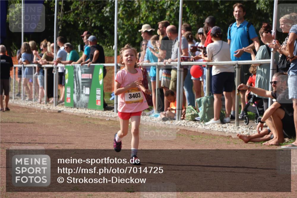 08.09.2024 - Airport Race Strokosch-Dieckow http://msf.ph/oto/7014725 08.09.2024 11:31:13 Ziel 1623, 1676, 1692, 3403 meine-sportfotos.de