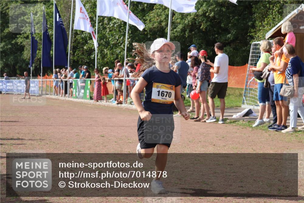 08.09.2024 - Airport Race Strokosch-Dieckow http://msf.ph/oto/7014878 08.09.2024 11:31:22 Ziel 1670, 1676, 1853, 3403, 3420 meine-sportfotos.de