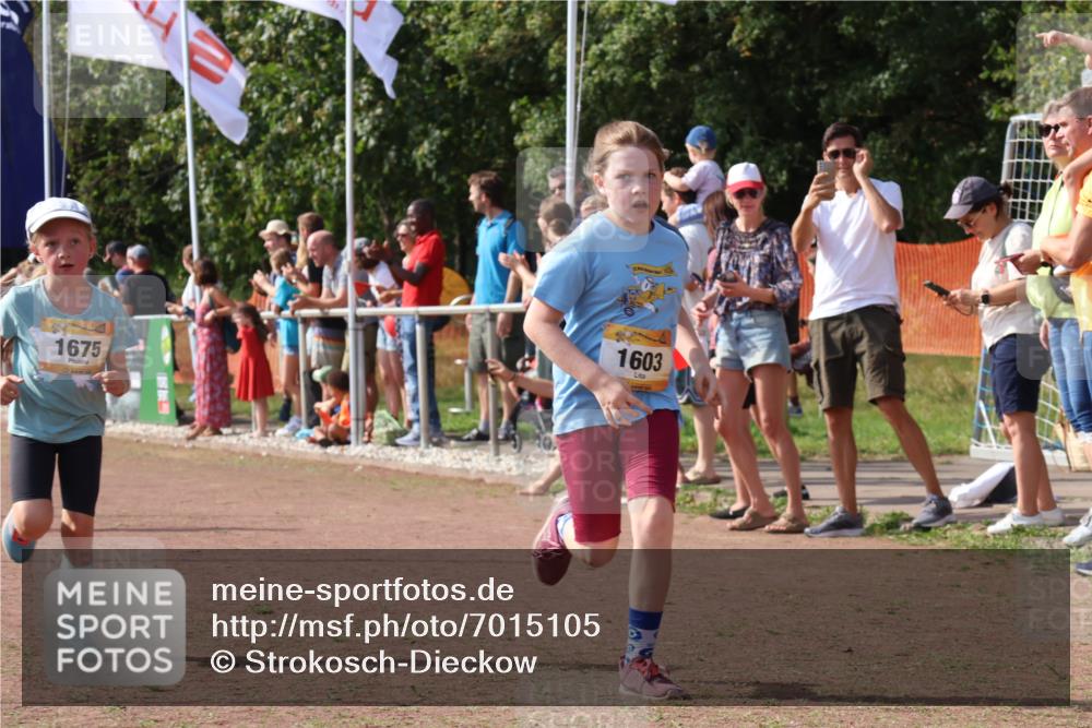 08.09.2024 - Airport Race Strokosch-Dieckow http://msf.ph/oto/7015105 08.09.2024 11:31:39 Ziel 1603, 1675, 1880, 3418, 3441 meine-sportfotos.de