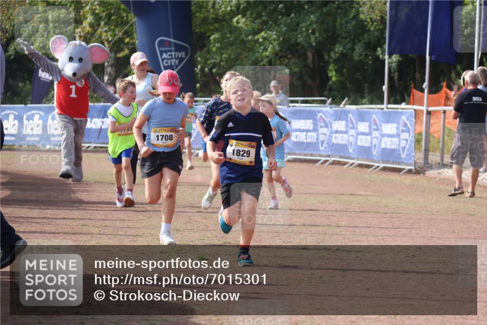 08.09.2024 - Airport Race Strokosch-Dieckow http://msf.ph/oto/7015301 08.09.2024 11:31:52 Ziel 1700, 1704, 1708, 1829, 3413 meine-sportfotos.de