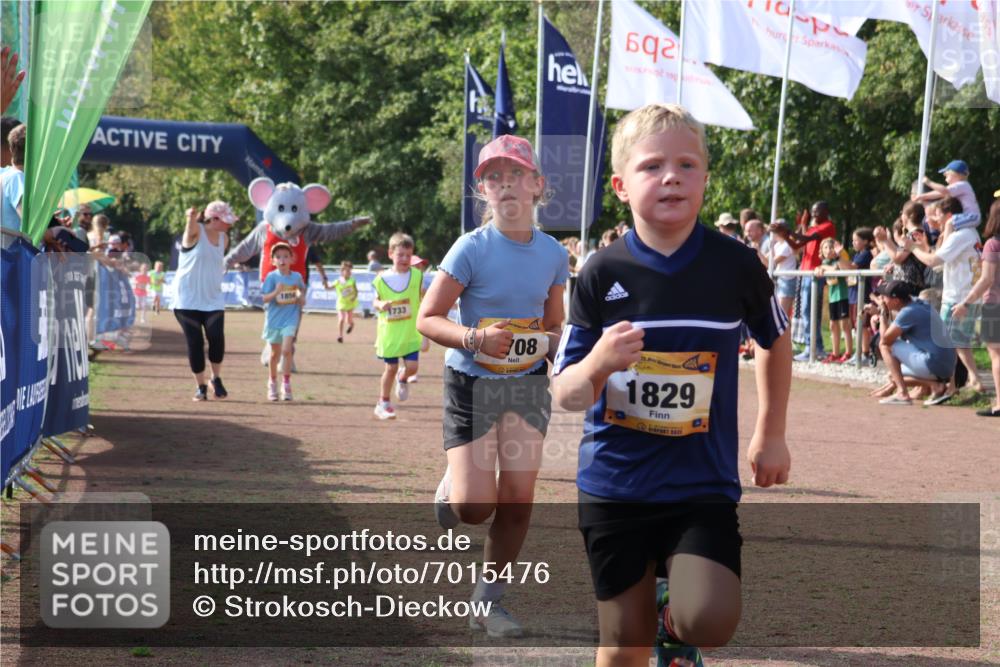 08.09.2024 - Airport Race Strokosch-Dieckow http://msf.ph/oto/7015476 08.09.2024 11:31:57 Ziel 1664, 1666, 1704, 1708, 1733, 1803, 1829, 1856, 3413 meine-sportfotos.de