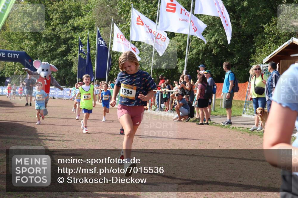 08.09.2024 - Airport Race Strokosch-Dieckow http://msf.ph/oto/7015536 08.09.2024 11:31:59 Ziel 1664, 1666, 1704, 1708, 1733, 1803, 1829, 1856, 3413 meine-sportfotos.de