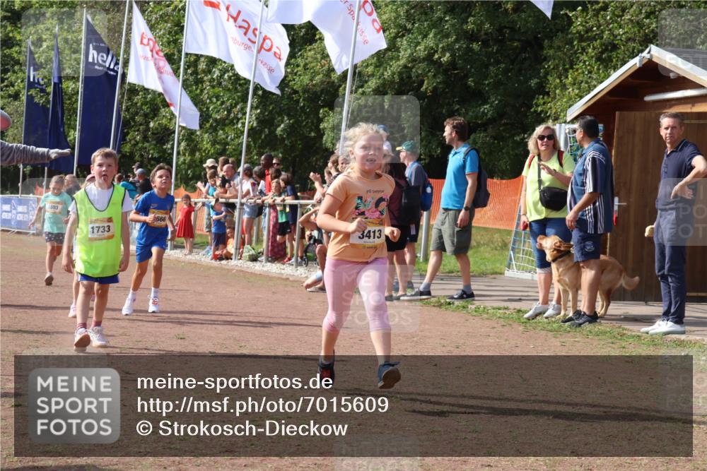 08.09.2024 - Airport Race Strokosch-Dieckow http://msf.ph/oto/7015609 08.09.2024 11:32:01 Ziel 1627, 1643, 1664, 1666, 1704, 1708, 1733, 1759, 1803, 1829, 1856, 3413 meine-sportfotos.de