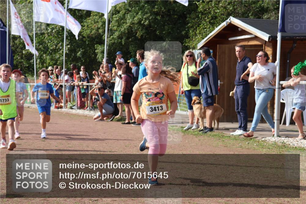 08.09.2024 - Airport Race Strokosch-Dieckow http://msf.ph/oto/7015645 08.09.2024 11:32:01 Ziel 1627, 1643, 1664, 1666, 1704, 1708, 1733, 1759, 1803, 1829, 1856, 3413 meine-sportfotos.de