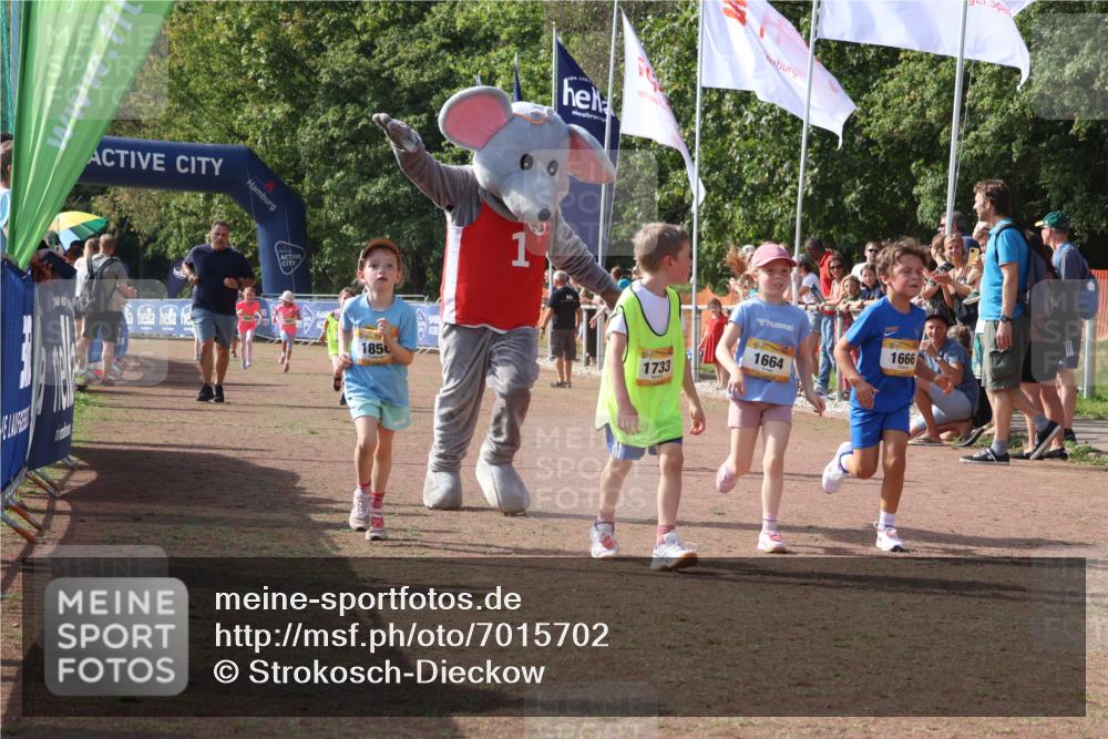 08.09.2024 - Airport Race Strokosch-Dieckow http://msf.ph/oto/7015702 08.09.2024 11:32:02 Ziel 1627, 1643, 1664, 1666, 1704, 1733, 1759, 1803, 1856, 3413 meine-sportfotos.de