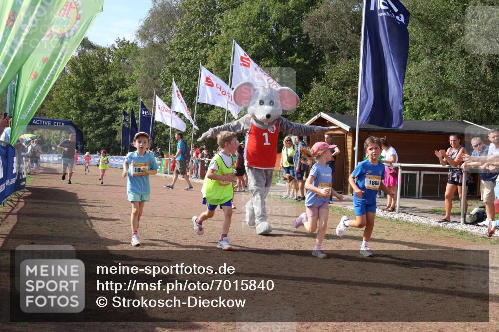 08.09.2024 - Airport Race Strokosch-Dieckow http://msf.ph/oto/7015840 08.09.2024 11:32:04 Ziel 1627, 1643, 1664, 1666, 1733, 1759, 1803, 1856, 3413 meine-sportfotos.de