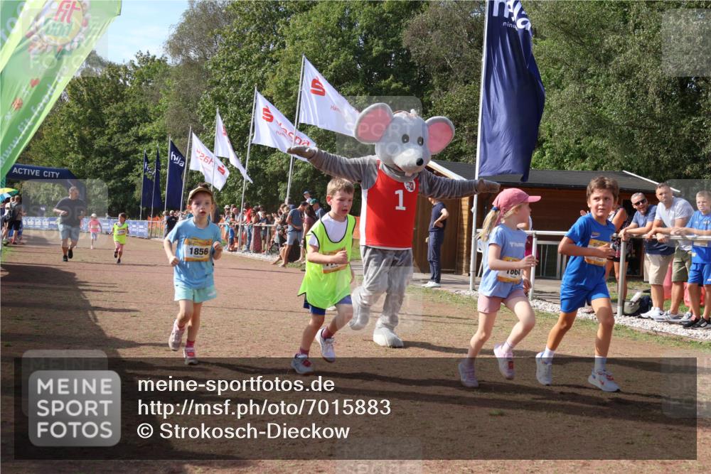 08.09.2024 - Airport Race Strokosch-Dieckow http://msf.ph/oto/7015883 08.09.2024 11:32:04 Ziel 1627, 1643, 1664, 1666, 1733, 1759, 1803, 1856, 3413 meine-sportfotos.de