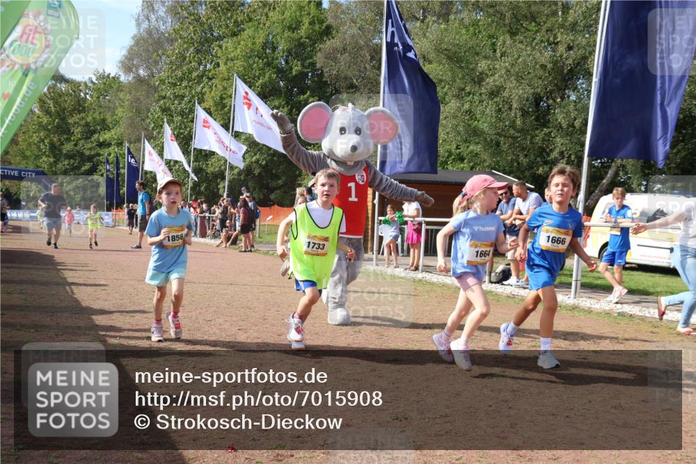 08.09.2024 - Airport Race Strokosch-Dieckow http://msf.ph/oto/7015908 08.09.2024 11:32:05 Ziel 1627, 1643, 1664, 1666, 1733, 1757, 1759, 1803, 1856 meine-sportfotos.de