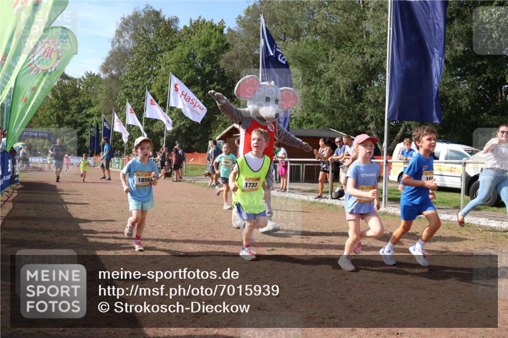 08.09.2024 - Airport Race Strokosch-Dieckow http://msf.ph/oto/7015939 08.09.2024 11:32:05 Ziel 1627, 1643, 1664, 1666, 1733, 1757, 1759, 1803, 1856 meine-sportfotos.de