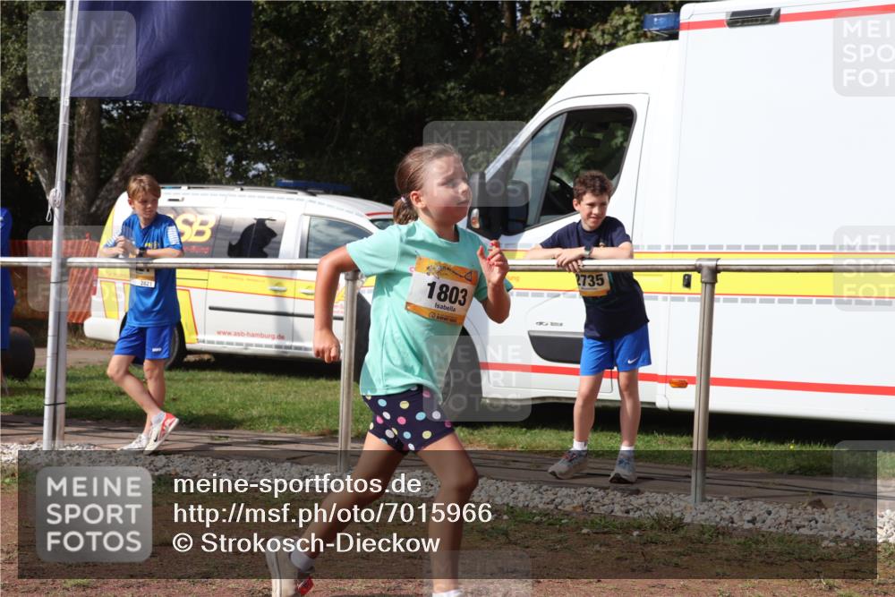 08.09.2024 - Airport Race Strokosch-Dieckow http://msf.ph/oto/7015966 08.09.2024 11:32:07 Ziel 1627, 1643, 1664, 1666, 1733, 1757, 1759, 1803, 1856 meine-sportfotos.de