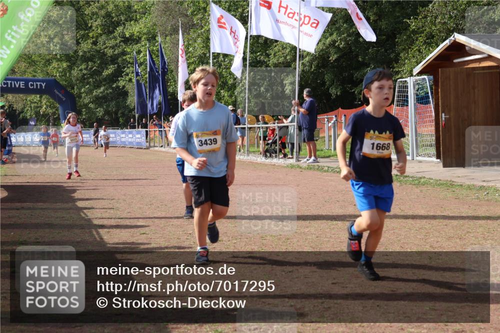 08.09.2024 - Airport Race Strokosch-Dieckow http://msf.ph/oto/7017295 08.09.2024 11:33:19 Ziel 1668, 1723, 3431, 3439 meine-sportfotos.de