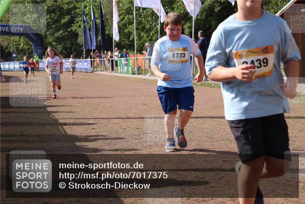 08.09.2024 - Airport Race Strokosch-Dieckow http://msf.ph/oto/7017375 08.09.2024 11:33:21 Ziel 1640, 1668, 1723, 3431, 3439 meine-sportfotos.de