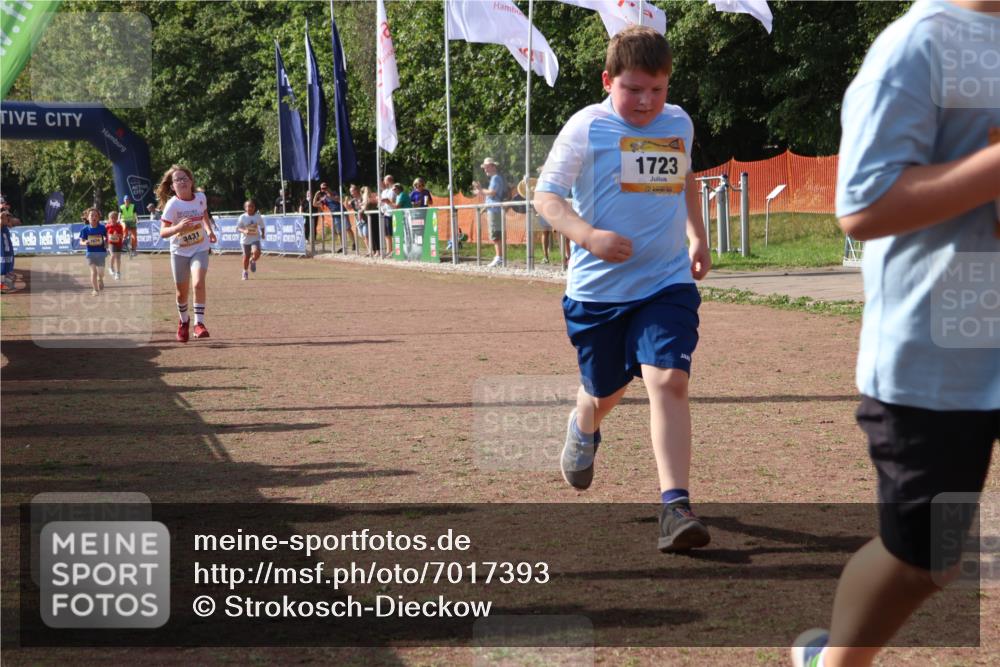 08.09.2024 - Airport Race Strokosch-Dieckow http://msf.ph/oto/7017393 08.09.2024 11:33:21 Ziel 1640, 1668, 1723, 3431, 3439 meine-sportfotos.de