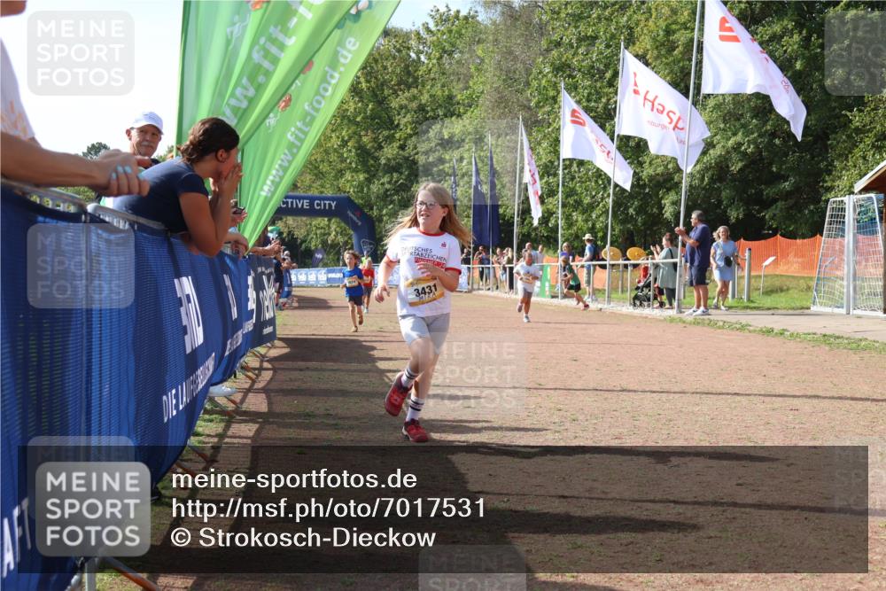 08.09.2024 - Airport Race Strokosch-Dieckow http://msf.ph/oto/7017531 08.09.2024 11:33:24 Ziel 1629, 1640, 1674, 1723, 3431 meine-sportfotos.de