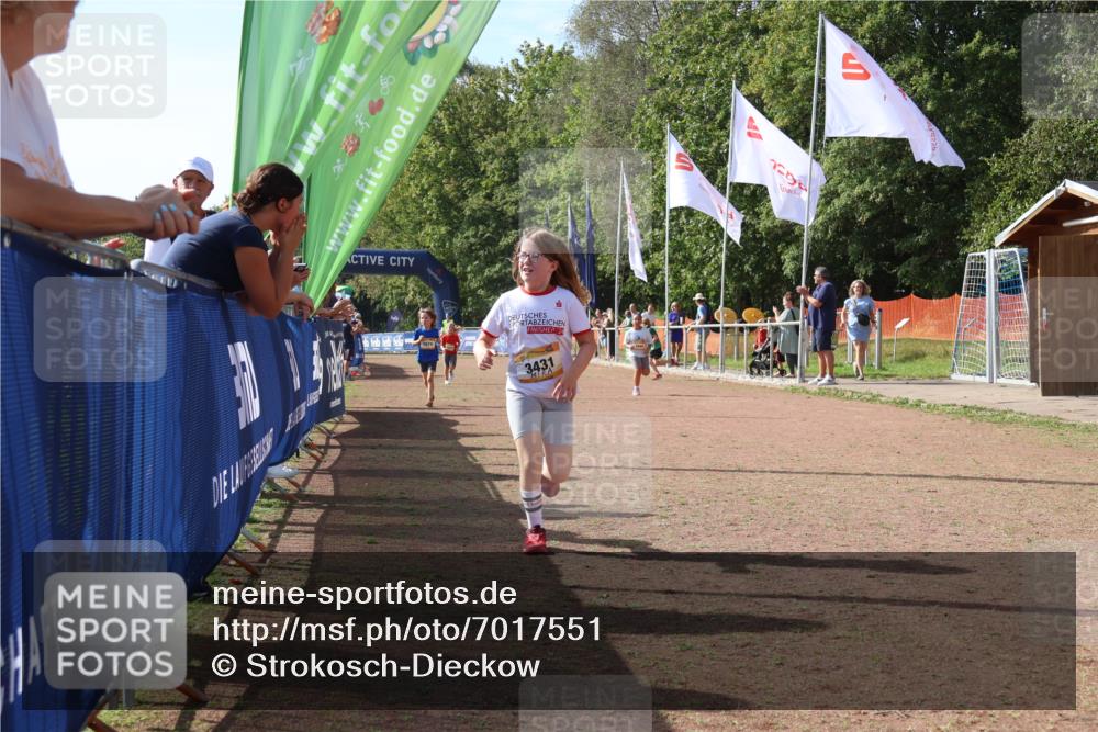 08.09.2024 - Airport Race Strokosch-Dieckow http://msf.ph/oto/7017551 08.09.2024 11:33:24 Ziel 1629, 1640, 1674, 1723, 3431 meine-sportfotos.de