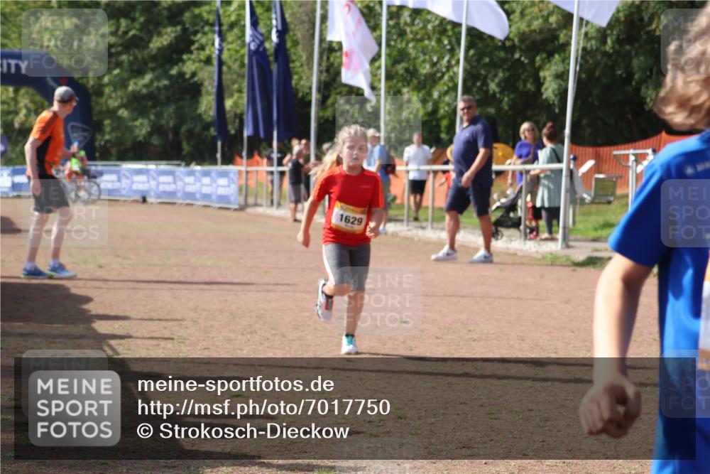 08.09.2024 - Airport Race Strokosch-Dieckow http://msf.ph/oto/7017750 08.09.2024 11:33:31 Ziel 1629, 1640, 1674 meine-sportfotos.de