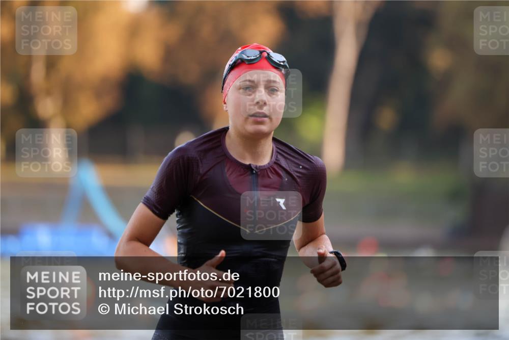 08.09.2024 - Stadtparktriathlon Michael Strokosch http://msf.ph/oto/7021800 08.09.2024 09:07:31 Schwimmen 144 meine-sportfotos.de