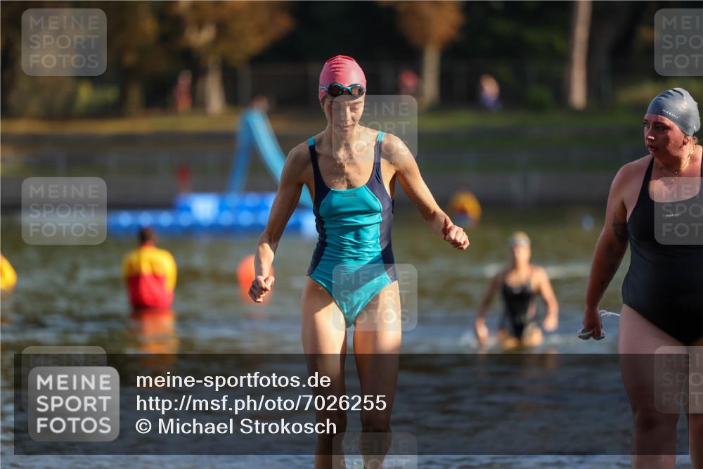 08.09.2024 - Stadtparktriathlon Michael Strokosch http://msf.ph/oto/7026255 08.09.2024 09:52:24 Schwimmen 210, 233, 246 meine-sportfotos.de