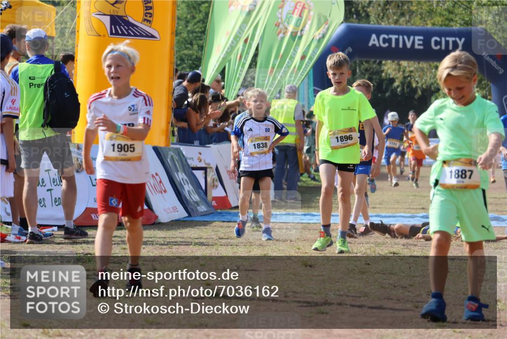 08.09.2024 - Airport Race Strokosch-Dieckow http://msf.ph/oto/7036162 08.09.2024 11:26:47 Ziel 1605, 1697, 1722, 1740, 1807, 1838, 1857, 1872, 1896, 1919, 1921, 1937, 1938, 1939 meine-sportfotos.de