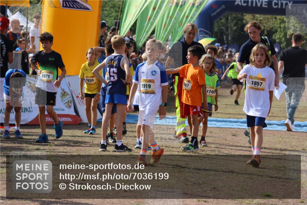 08.09.2024 - Airport Race Strokosch-Dieckow http://msf.ph/oto/7036199 08.09.2024 11:27:06 Ziel 1624, 1727, 1745, 1747, 1751, 1871, 1874, 1889, 3436, 3440, 3444, 3451 meine-sportfotos.de