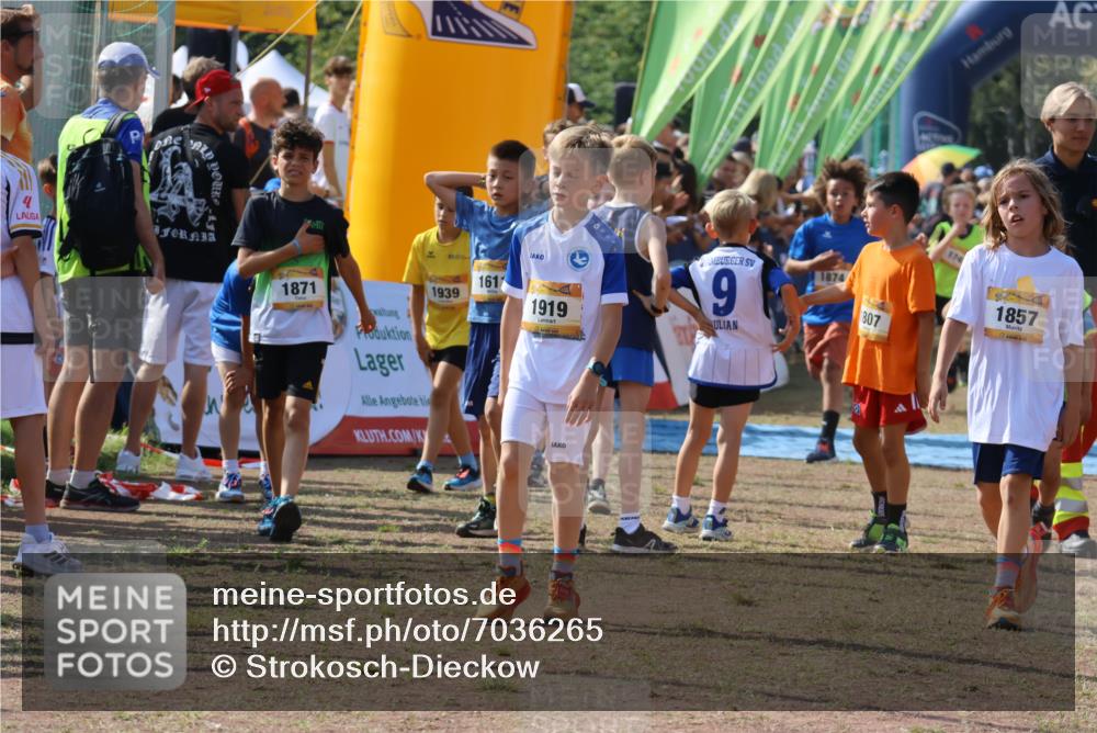 08.09.2024 - Airport Race Strokosch-Dieckow http://msf.ph/oto/7036265 08.09.2024 11:27:08 Ziel 1624, 1727, 1745, 1747, 1751, 1871, 1874, 1889, 3440, 3444, 3451 meine-sportfotos.de