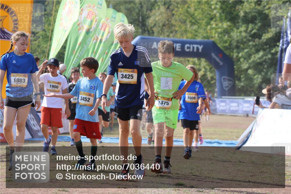 08.09.2024 - Airport Race Strokosch-Dieckow http://msf.ph/oto/7036440 08.09.2024 11:27:52 Ziel 1607, 1608, 1746, 1781, 1808, 1812, 1820, 1831, 1866, 1869, 1875, 1900, 1902, 1904, 1912, 1927, 3405, 3416, 3417, 3429, 3446 meine-sportfotos.de
