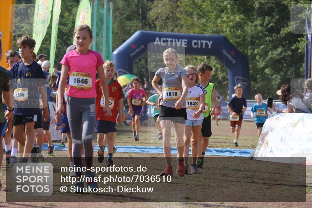 08.09.2024 - Airport Race Strokosch-Dieckow http://msf.ph/oto/7036510 08.09.2024 11:28:15 Ziel 1622, 1626, 1653, 1706, 1709, 1726, 1738, 1755, 1763, 1768, 1770, 1809, 1818, 1821, 1843, 1895, 1911, 1929, 3422, 3432 meine-sportfotos.de