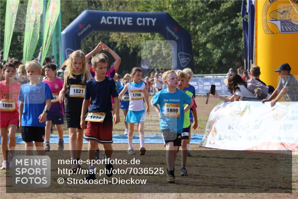 08.09.2024 - Airport Race Strokosch-Dieckow http://msf.ph/oto/7036525 08.09.2024 11:28:27 Ziel 1602, 1606, 1609, 1618, 1622, 1653, 1698, 1706, 1709, 1742, 1762, 1809, 1819, 1821, 1827, 1830, 1881, 1890, 3408, 3435 meine-sportfotos.de