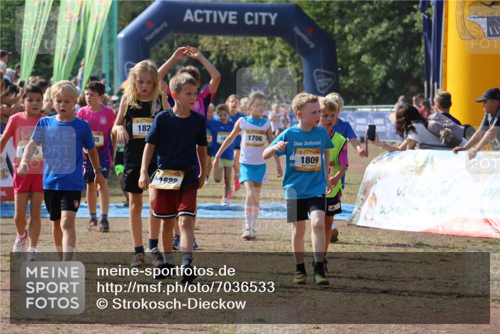 08.09.2024 - Airport Race Strokosch-Dieckow http://msf.ph/oto/7036533 08.09.2024 11:28:27 Ziel 1602, 1606, 1609, 1618, 1622, 1653, 1698, 1706, 1709, 1742, 1762, 1809, 1819, 1821, 1827, 1830, 1881, 1890, 3408, 3435 meine-sportfotos.de