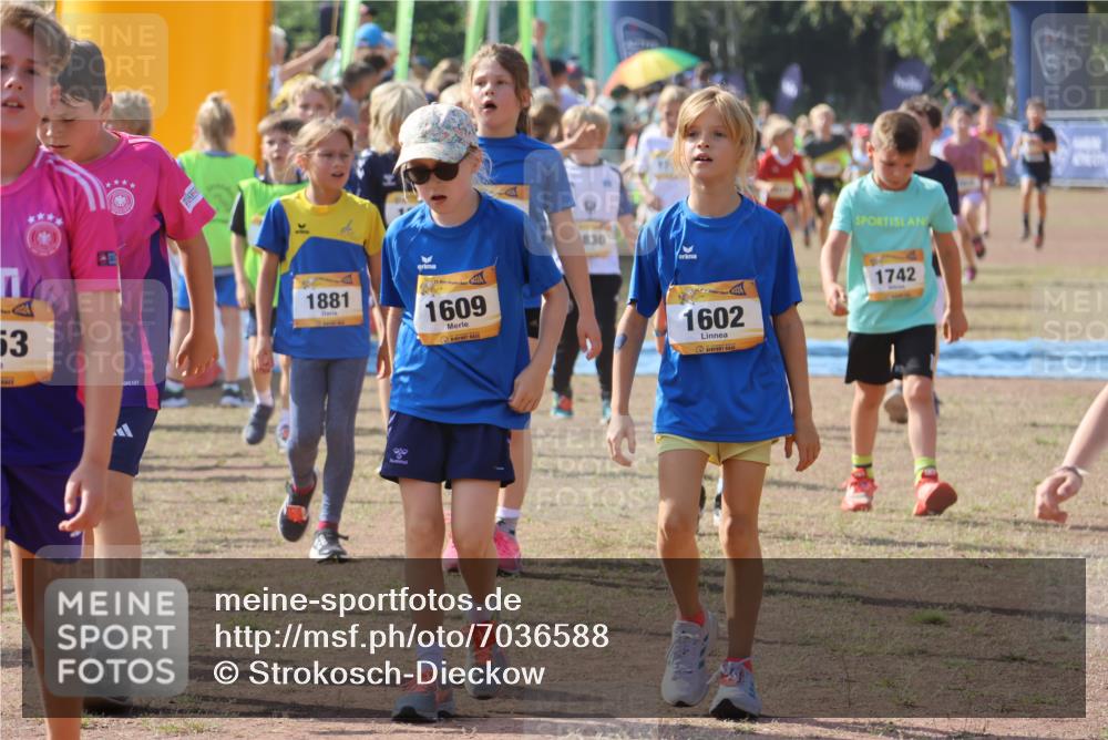 08.09.2024 - Airport Race Strokosch-Dieckow http://msf.ph/oto/7036588 08.09.2024 11:28:39 Ziel 1618, 1620, 1632, 1698, 1716, 1739, 1742, 1762, 1790, 1819, 1830, 1890, 1918, 3408, 3419, 3426 meine-sportfotos.de