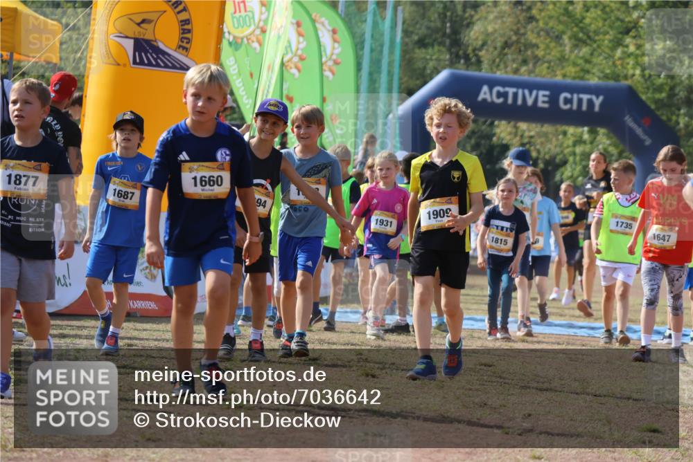 08.09.2024 - Airport Race Strokosch-Dieckow http://msf.ph/oto/7036642 08.09.2024 11:29:10 Ziel 1647, 1687, 1688, 1735, 1736, 1741, 1744, 1765, 1780, 1787, 1811, 1813, 1815, 1846, 1847, 1859, 1865, 1931, 1935, 1940, 3411 meine-sportfotos.de