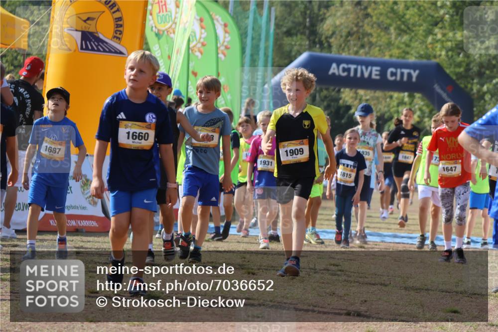 08.09.2024 - Airport Race Strokosch-Dieckow http://msf.ph/oto/7036652 08.09.2024 11:29:11 Ziel 1647, 1688, 1735, 1736, 1741, 1744, 1765, 1780, 1787, 1811, 1813, 1815, 1846, 1847, 1859, 1865, 1931, 1935, 1940, 3411 meine-sportfotos.de