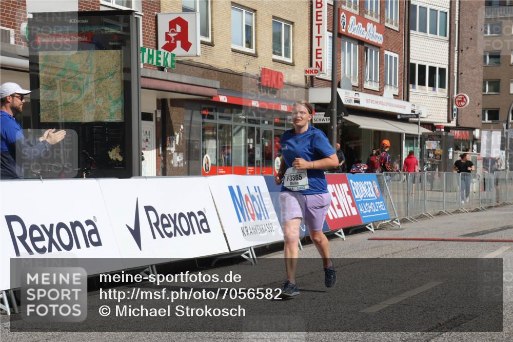 15.09.2024 - PSD Bank Halbmarathon Michael Strokosch http://msf.ph/oto/7056582 15.09.2024 12:50:08 Ziel 3365 meine-sportfotos.de