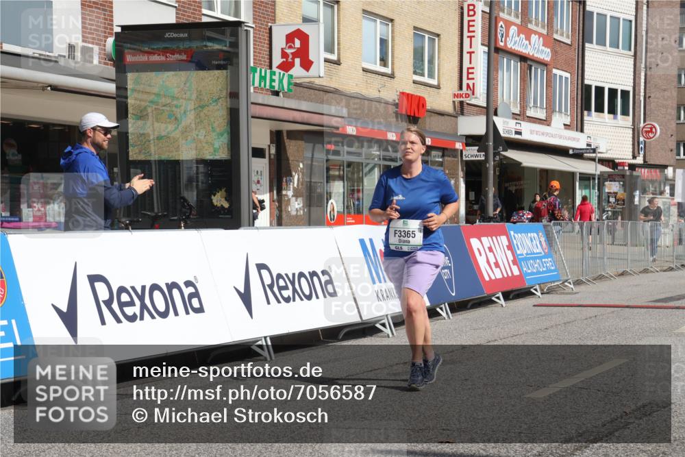 15.09.2024 - PSD Bank Halbmarathon Michael Strokosch http://msf.ph/oto/7056587 15.09.2024 12:50:08 Ziel 3365 meine-sportfotos.de