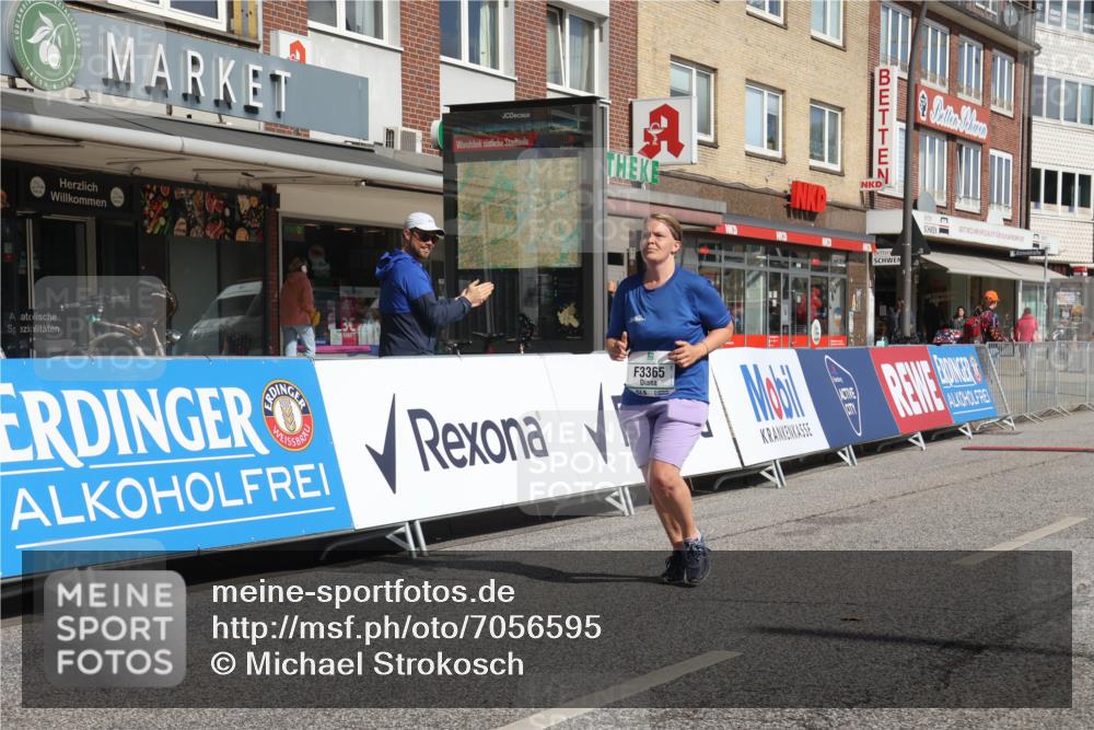 15.09.2024 - PSD Bank Halbmarathon Michael Strokosch http://msf.ph/oto/7056595 15.09.2024 12:50:09 Ziel 3365 meine-sportfotos.de