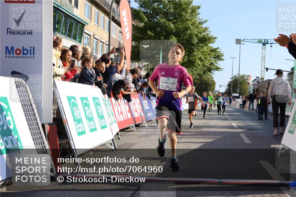 15.09.2024 - PSD Bank Halbmarathon Strokosch-Dieckow http://msf.ph/oto/7064960 15.09.2024 10:26:24 Ziel 9, 20, 88, 144, 181, 216, 240, 242, 295 meine-sportfotos.de