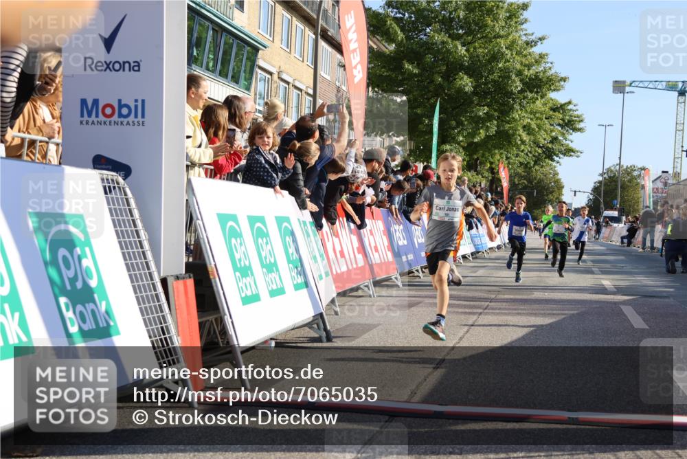 15.09.2024 - PSD Bank Halbmarathon Strokosch-Dieckow http://msf.ph/oto/7065035 15.09.2024 10:26:26 Ziel 9, 86, 88, 144, 181, 216, 240, 242, 295 meine-sportfotos.de