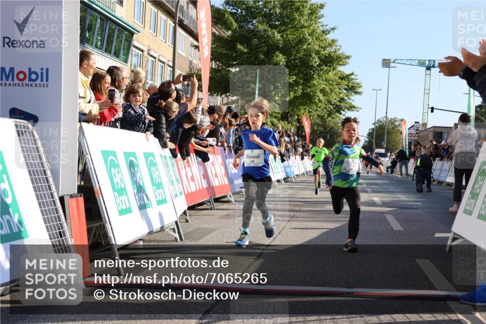 15.09.2024 - PSD Bank Halbmarathon Strokosch-Dieckow http://msf.ph/oto/7065265 15.09.2024 10:26:28 Ziel 9, 86, 88, 116, 144, 181, 200, 216, 242, 295 meine-sportfotos.de