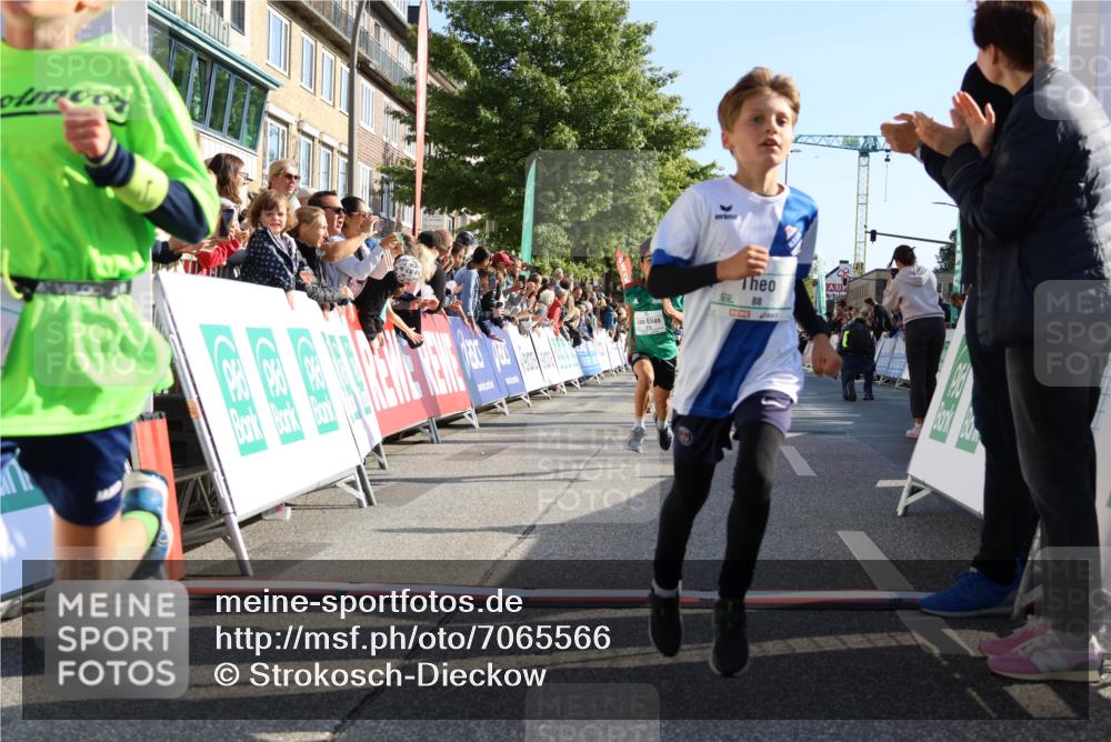 15.09.2024 - PSD Bank Halbmarathon Strokosch-Dieckow http://msf.ph/oto/7065566 15.09.2024 10:26:31 Ziel 9, 86, 88, 116, 118, 144, 181, 188, 200, 216, 242, 295 meine-sportfotos.de